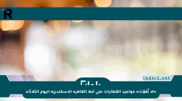 «لا تُفوّت» مواعيد القطارات على خط القاهرة الإسكندرية اليوم الثلاثاء